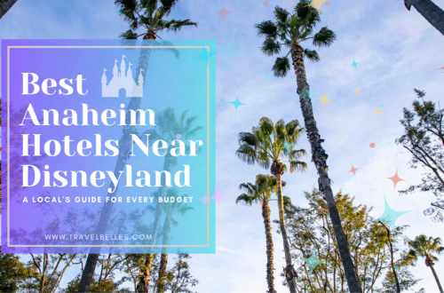 Anaheim Hotels Near Disneyland, Anaheim Palm Trees